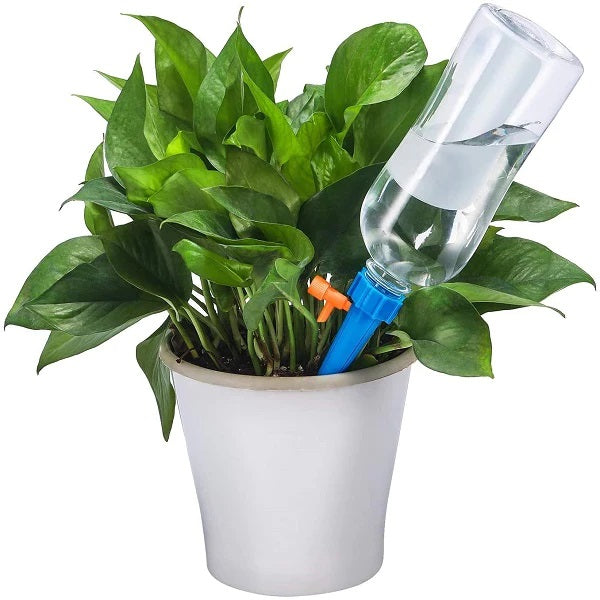Set 36 Picuratoare pentru Ghivece – Sistem Automat de Udare cu Picurare pentru Plante in Interior si Exterior