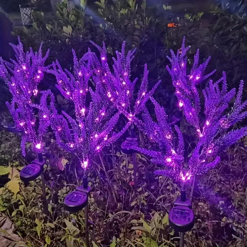 3684-19683.jpg