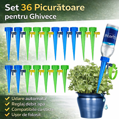 Set 36 Picuratoare pentru Ghivece – Sistem Automat de Udare cu Picurare pentru Plante in Interior si Exterior