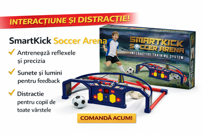 Sistem Interactiv Electronic de Antrenament cu Minge si Pompa