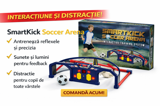 Sistem Interactiv Electronic de Antrenament cu Minge si Pompa